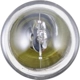 Purchase Top-Quality Map Light by PHILIPS - 1004LLB2 pa32