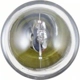 Purchase Top-Quality Map Light by PHILIPS - 1004LLB2 pa63