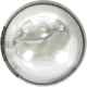 Purchase Top-Quality Map Light by PHILIPS - 158LLB2 pa58