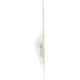 Purchase Top-Quality Map Light by PHILIPS - 24LLB2 pa12