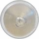 Purchase Top-Quality Map Light by SYLVANIA - DE3175.BP2 pa10