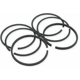Purchase Top-Quality Moly Piston Rings by SEALED POWER - E434K30 pa1