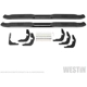 Purchase Top-Quality Nerf/Step Bar by WESTIN - 21-22775 pa35