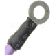 Purchase Top-Quality Neutral Safety Switch by BLUE STREAK (HYGRADE MOTOR) - NS71 pa1