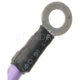 Purchase Top-Quality Neutral Safety Switch by BLUE STREAK (HYGRADE MOTOR) - NS71 pa5