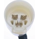 Purchase Top-Quality Neutral Safety Switch by BLUE STREAK (HYGRADE MOTOR) - NS75 pa6