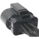 Purchase Top-Quality Neutral Safety Switch Connector by BLUE STREAK (HYGRADE MOTOR) - S723 pa4