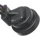 Purchase Top-Quality Neutral Safety Switch Connector by BLUE STREAK (HYGRADE MOTOR) - S747 pa5