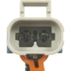 Purchase Top-Quality New Air Pump by BLUE STREAK (HYGRADE MOTOR) - AIP14 pa2
