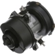Purchase Top-Quality New Air Pump by BLUE STREAK (HYGRADE MOTOR) - AIP60 pa1