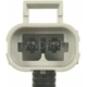 Purchase Top-Quality New Air Pump by BLUE STREAK (HYGRADE MOTOR) - AIP15 pa2