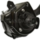 Purchase Top-Quality New Air Pump by BLUE STREAK (HYGRADE MOTOR) - AIP19 pa2