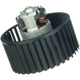 Purchase Top-Quality AUTOTECNICA - GM0618638 - Blower Motor pa3