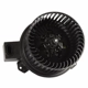 Purchase Top-Quality New Blower Motor by MOTORCRAFT - MM1049 pa3
