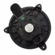 Purchase Top-Quality New Blower Motor by MOTORCRAFT - MM1191 pa3