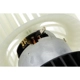 Purchase Top-Quality New Blower Motor by URO - 64111468453 pa5