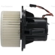 Purchase Top-Quality FOUR SEASONS - 75031 - New Blower Motor With Wheel pa19