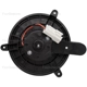 Purchase Top-Quality FOUR SEASONS - 76948 - New Blower Motor With Wheel pa9