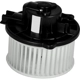 Purchase Top-Quality New Blower Motor With Wheel by GLOBAL PARTS DISTRIBUTORS - 2311775 pa1