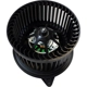 Purchase Top-Quality New Blower Motor With Wheel by MOTORCRAFT - MM872 pa10