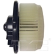 Purchase Top-Quality New Blower Motor With Wheel by TYC - 700003 pa12