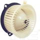 Purchase Top-Quality New Blower Motor With Wheel by TYC - 700010 pa9
