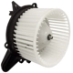 Purchase Top-Quality TYC - 700027 - New Blower Motor With Wheel pa22