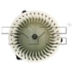 Purchase Top-Quality Moteur de soufflerie avec cage de ventilateur by TYC - 700075 pa7