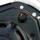 Purchase Top-Quality New Blower Motor With Wheel by TYC - 700103 pa5