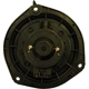 Purchase Top-Quality New Blower Motor With Wheel by TYC - 700110 pa16