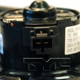Purchase Top-Quality New Blower Motor With Wheel by TYC - 700126 pa6
