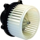 Purchase Top-Quality New Blower Motor With Wheel by TYC - 700138 pa13