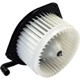 Purchase Top-Quality New Blower Motor With Wheel by TYC - 700160 pa1