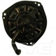 Purchase Top-Quality New Blower Motor With Wheel by TYC - 700160 pa15