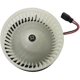 Purchase Top-Quality TYC - 700164 - New Blower Motor With Wheel pa26