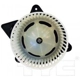 Purchase Top-Quality New Blower Motor With Wheel by TYC - 700167 pa12