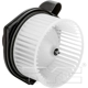 Purchase Top-Quality New Blower Motor With Wheel by TYC - 700187 pa3