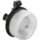 Purchase Top-Quality TYC - 700203 - New Blower Motor With Wheel pa17
