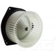 Purchase Top-Quality New Blower Motor With Wheel by TYC - 700206 pa17