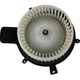 Purchase Top-Quality TYC - 700216 - New Blower Motor With Wheel pa14