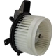 Purchase Top-Quality TYC - 700216 - New Blower Motor With Wheel pa16