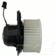 Purchase Top-Quality New Blower Motor With Wheel by TYC - 700218 pa13
