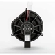 Purchase Top-Quality Moteur de soufflerie avec cage de ventilateur par TYC - 700255 pa11