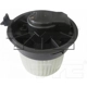 Purchase Top-Quality New Blower Motor With Wheel by TYC - 700256 pa8