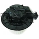 Purchase Top-Quality New Blower Motor With Wheel by TYC - 700263 pa12