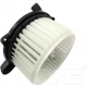Purchase Top-Quality New Blower Motor With Wheel by TYC - 700269 pa11