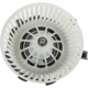 Purchase Top-Quality TYC - 700291 - New Blower Motor With Wheel pa20