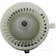 Purchase Top-Quality New Blower Motor With Wheel by TYC - 700309 pa13