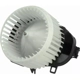 Purchase Top-Quality New Blower Motor With Wheel by TYC - 700370 pa1
