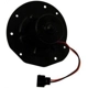 Purchase Top-Quality New Blower Motor Without Wheel by CONTINENTAL - PM249 pa1